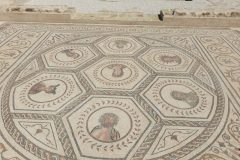 Italica mosaic.